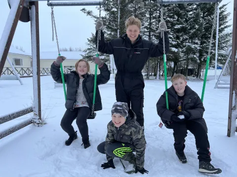 4 vinir að róla í snjónum