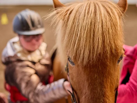 Girl with helmet combing a horse