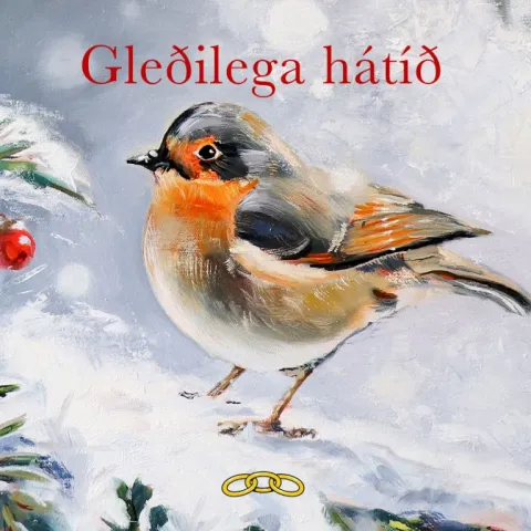 Christmas card with bird