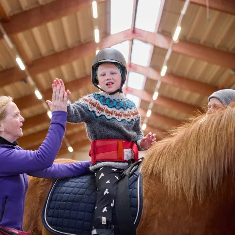 Boy giving high five on horse back