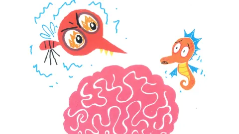 Animated bee and Seahorse and a human brain